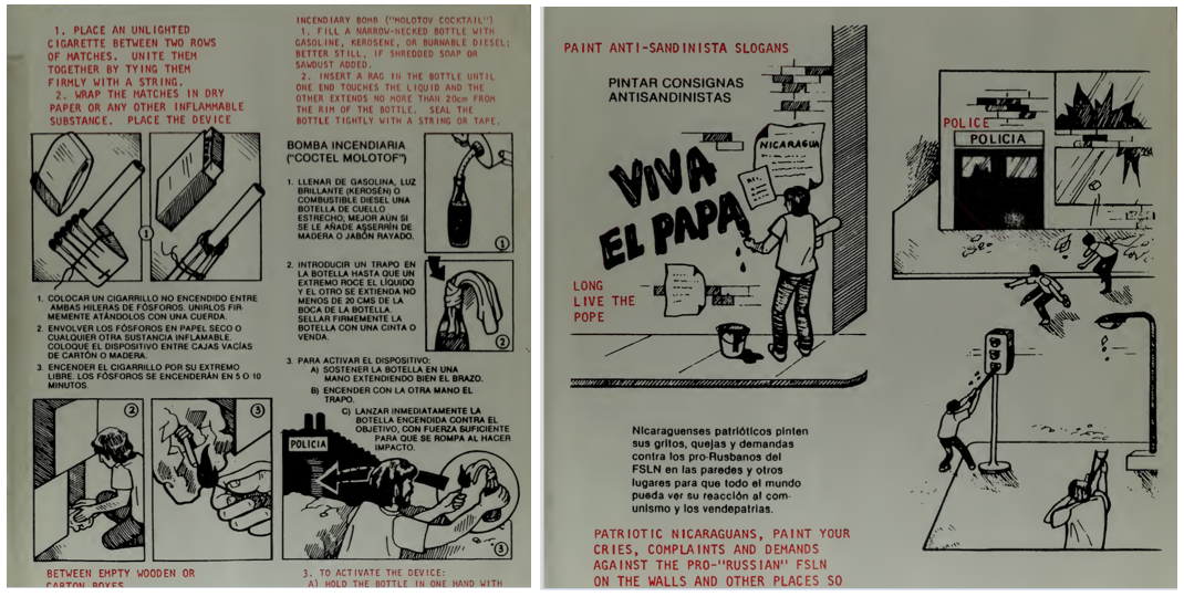 Edición Bilingüe del Manual del Combatiente por la libertad
