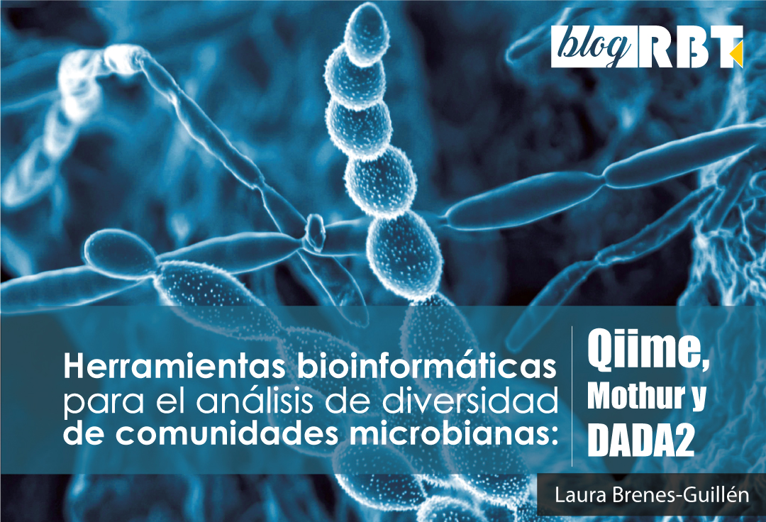Microbios del suelo. Image: Courtesy of Pacific Northwest National Laboratory (CC BY-NC-SA 2.0)